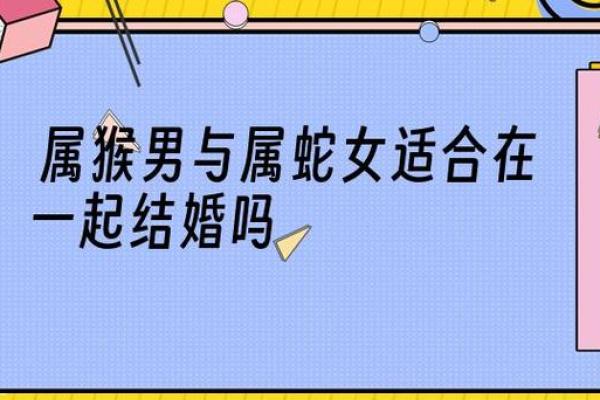 生肖兔男与猴女配对解析：爱情与婚姻的最佳契机吗？