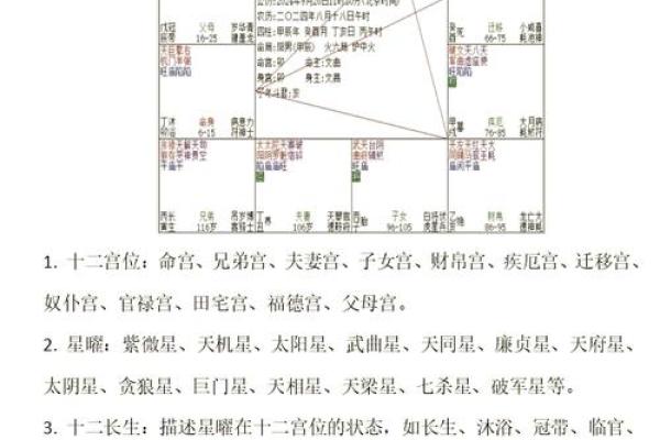 紫微排盘深度解析：揭示命运走向的神秘密码