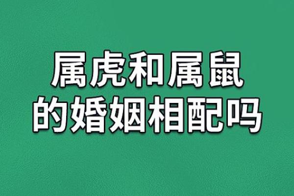 属虎和属龙的配对是否合适？深度解析两者的性格与婚姻匹配度