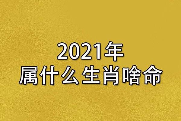 属什么生肖与命运走向的深度解析