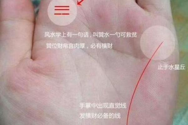 掌握横财手相图解析，揭示财富运势秘密