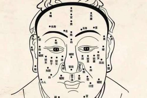 面相学入门：揭示你脸部特征的深层含义