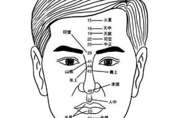 如何通过面相看出男人的成功潜力