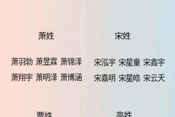 姓杨宝宝起名秘籍：如何挑选寓意深远的名字