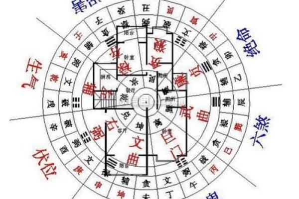 风水中柠檬树放在财位的利与弊分析