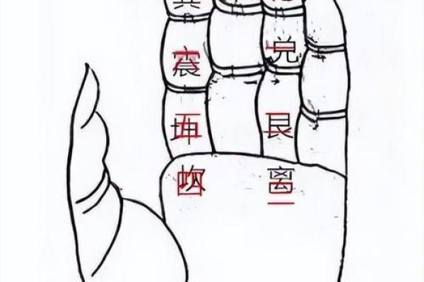 从零开始学玄空排盘，轻松掌握命理的奥秘