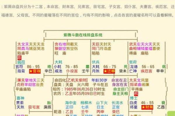 深入紫微斗数排盘：全方位分析你的运势与人生关键