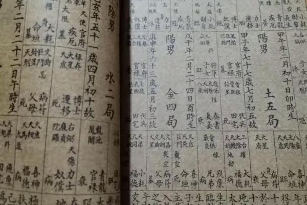 深入紫微斗数排盘：全方位分析你的运势与人生关键