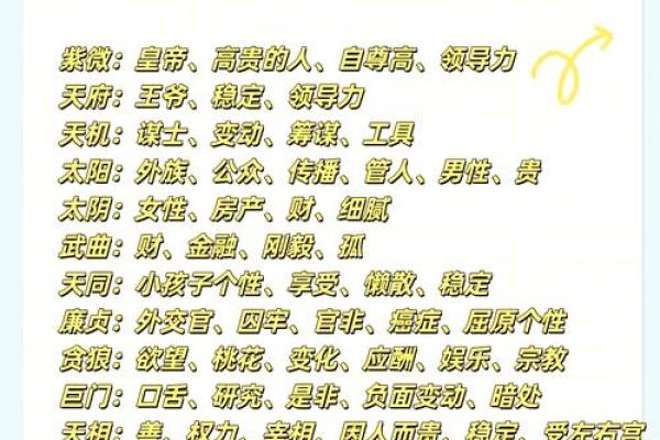 快速上手紫微星盘排盘工具，掌握人生走向的关键