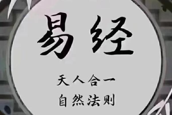 生辰八字揭秘：量身定制，你的家居风水秘籍