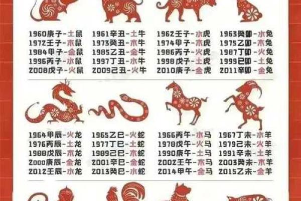 属兔的你，揭秘你的五行命理运势