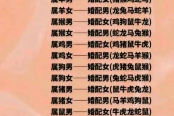 猪马搭配，创意无限这个组合火遍全网