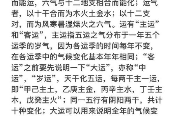 探秘乙木天干与支的命运关联