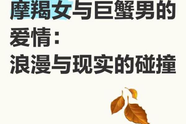 情感火花：巨蟹男VS魔蝎女，爱情默契度爆表