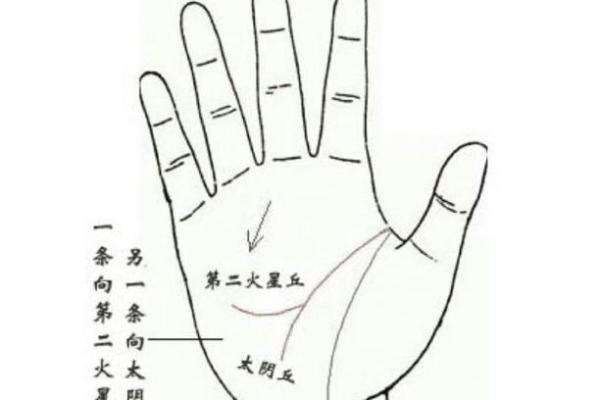 揭秘手相奥秘：两横节纹揭示的惊人财运与命运走向
