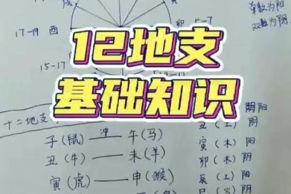 己日干的命理奥秘：从五行角度看人生运势