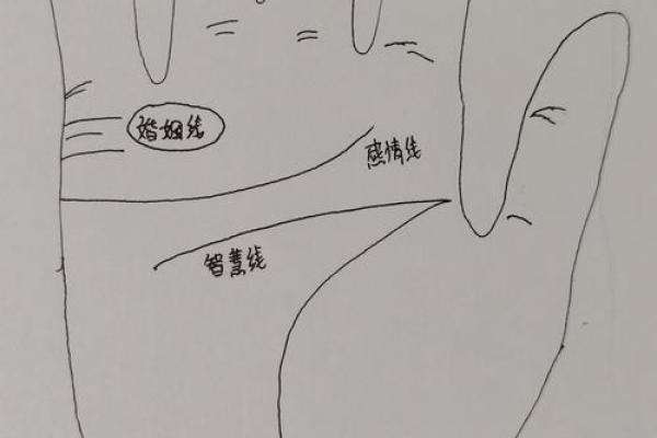 揭秘手相中的神秘密码：你的手相为何如此特别？