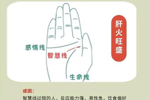 揭秘手相中的神秘密码：你的手相为何如此特别？