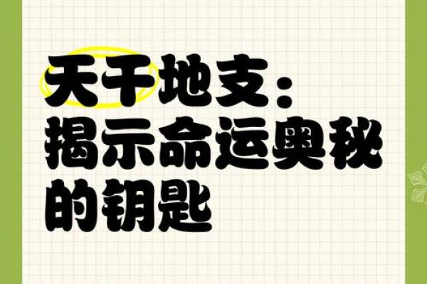 你不可不知的坐支天干地支，命运的密码就在其中
