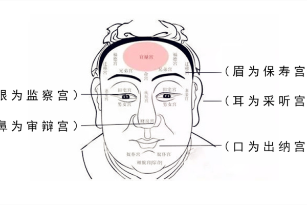 神秘面相揭秘：麻衣神相阴部三痣背后的秘密