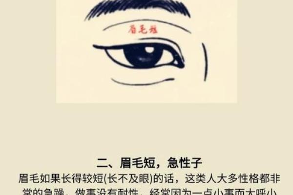 眉目传情，眉相解析：揭秘眉毛背后的命运密码