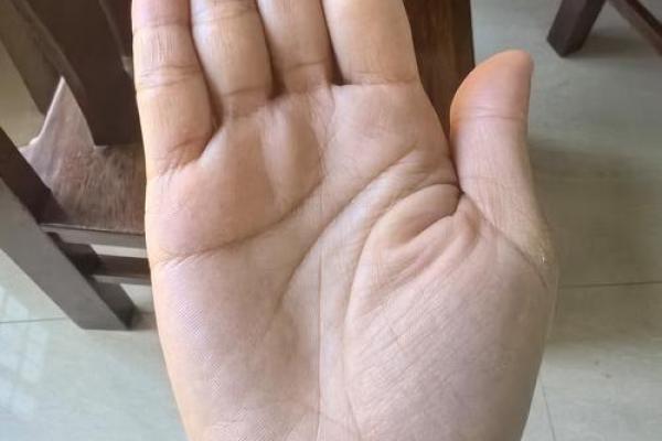 手相揭秘：川字纹在手，财运亨通，快来一探究竟