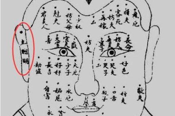 痣相金缕解析：面部特征预示大运亨通