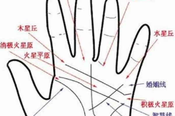 手相三线深长，揭秘财运亨通的秘密