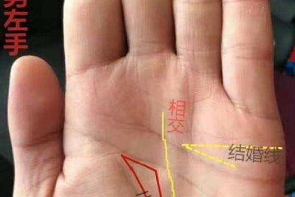 夫妻同手相，缘分天注定