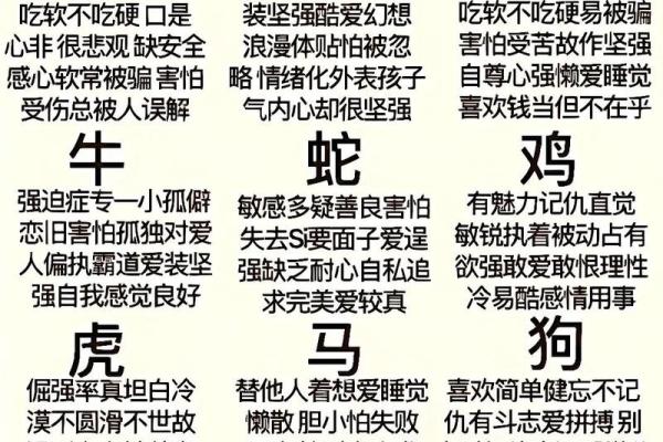 生肖男宝：揭秘十二生肖男人的独特魅力