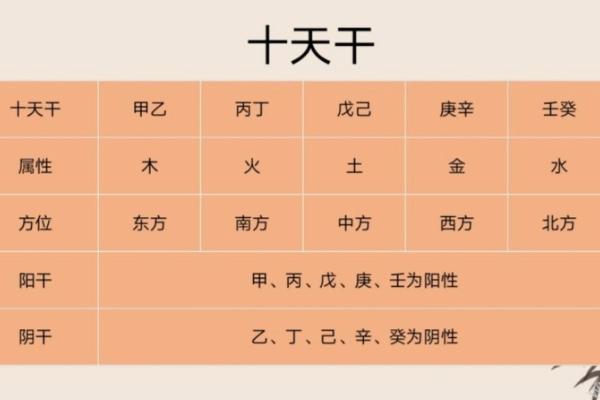 从零开始学十天干十二地支