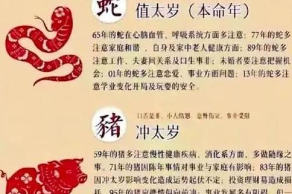 什么命是看年？揭秘命运与年份的神秘联系
