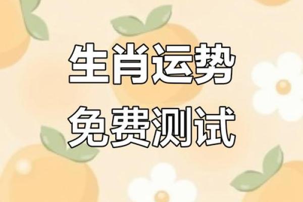 十二生肖天赐好运，揭秘生肖运势大揭秘