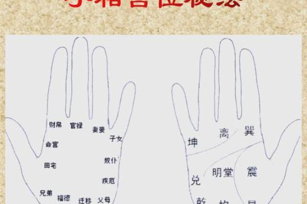 揭秘命运之手：改天必看的手相奥秘