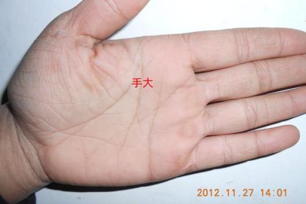 麒麟子出生的女人八字里藏的玄机