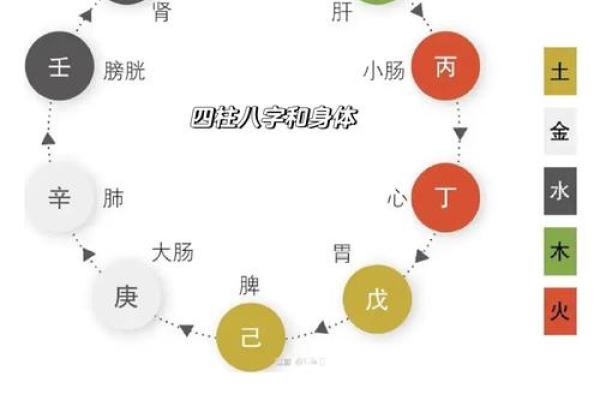 为什么天运五行与日主天干决定了你的财富与事业？