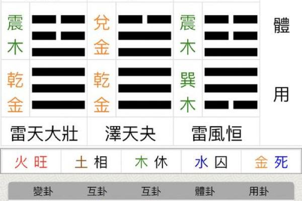 如何通过梅花易数排盘安卓版精准预测未来