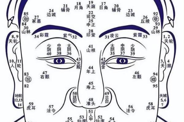 识人于面，一眼看穿命运：揭秘面相学的神奇魅力