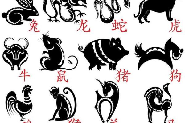 破生肖之谜：揭秘生肖背后的传奇故事