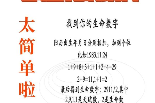 阳木命格，揭秘数字密码