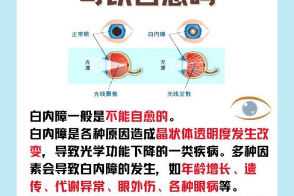 眼白浊面相揭秘：揭秘你的运势与健康