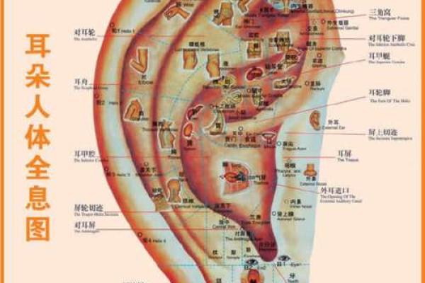 面相秘术：揭秘五官间的命运密码，比八字更精准的运势指南