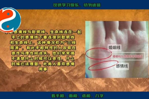 揭秘男生主动给女生看手相，暗示了怎样的秘密？
