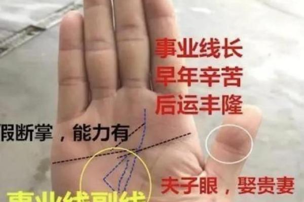 揭秘男生主动给女生看手相，暗示了怎样的秘密？