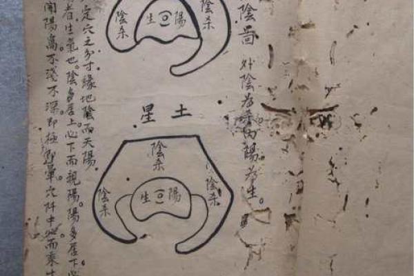 午龙穴土色泽揭秘：揭秘风水大师独门绝技