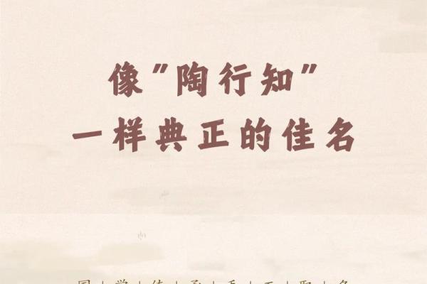 起名典揭秘：如何让名字更具个性与魅力