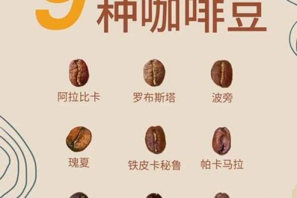 从普通到非凡！为豆类产品起个与众不同的名字