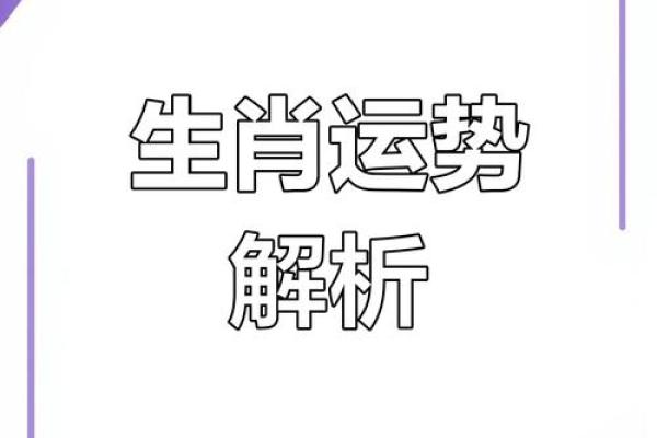 十二生肖传奇，生肖运势大揭秘