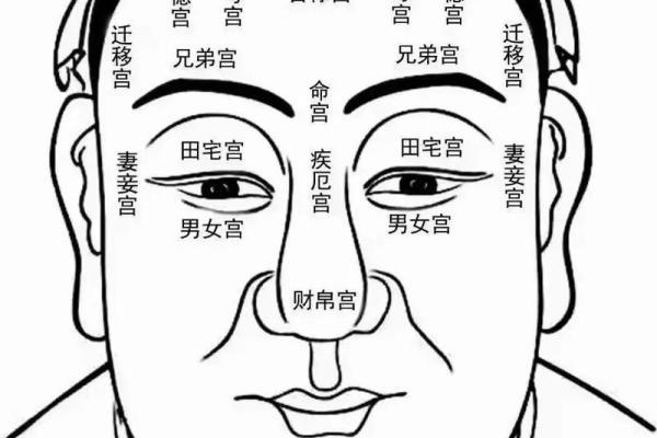面部痣相学：痣的分布揭示你的命运密码