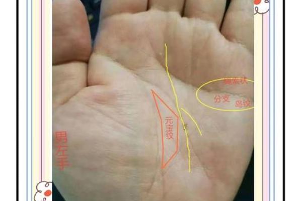 揭秘y纹手相的惊人秘密手相大师教你一眼看穿命运
